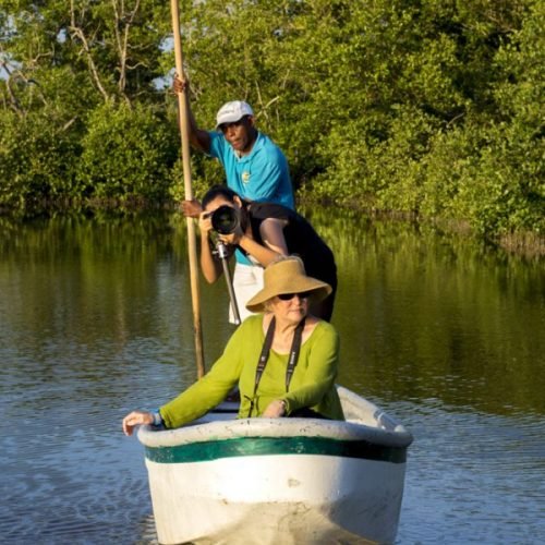 Mangroves Photo Tour